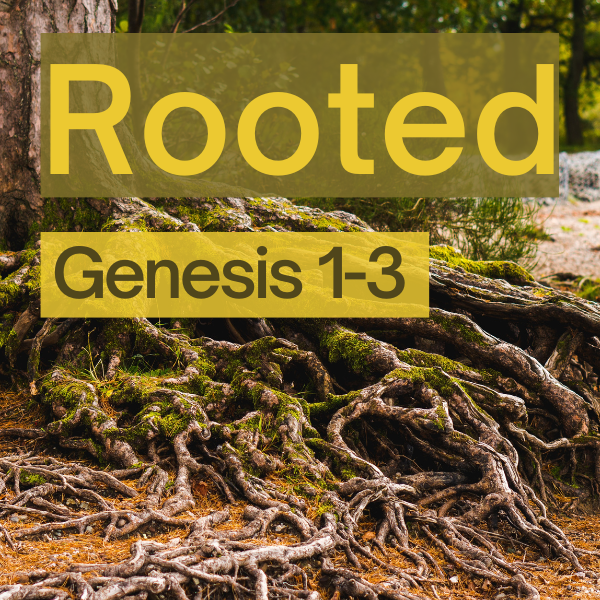 Rooted